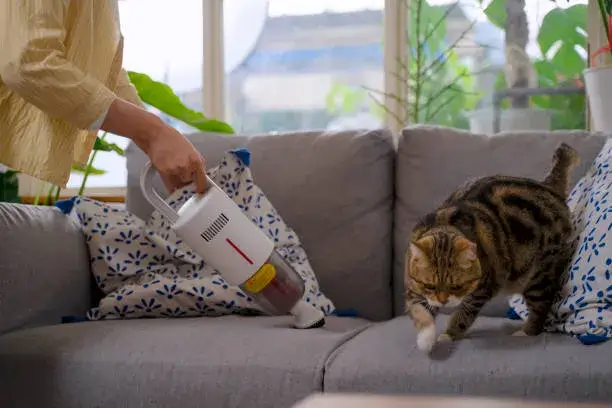 Know All About Eco-Friendly Sofa Cleaning in Damac Hills 2 – Safe for Kids & Pets Eco-friendly sofa cleaning in Damac Hills 2 AED 29 – safe for kids and pets | UrbanMop.com